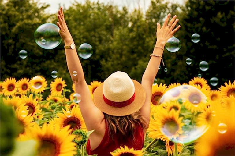 Summer Sunshine