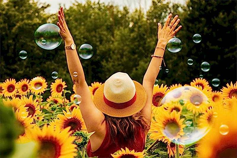 Summer Sunshine